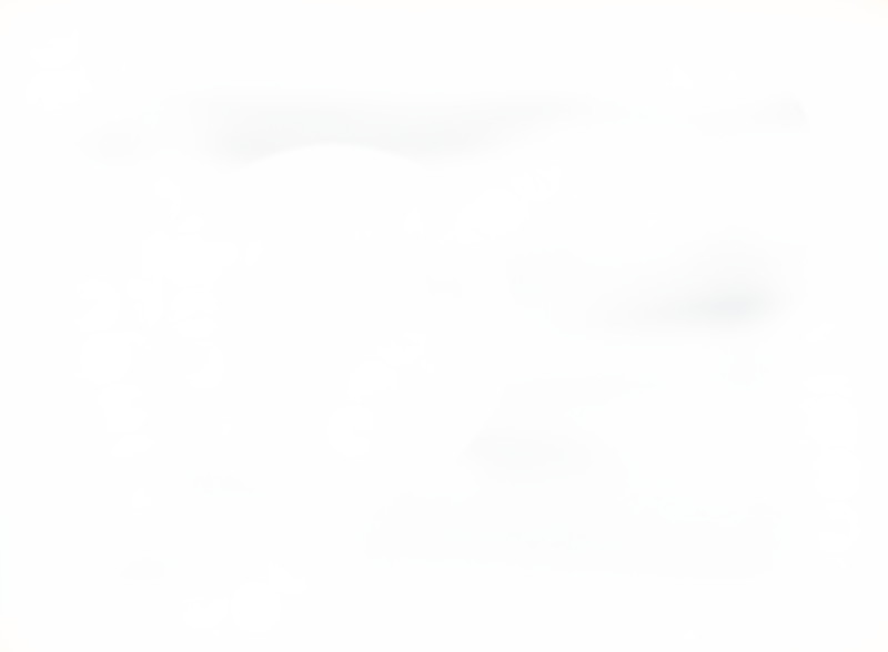 Slika nije pronađena! 